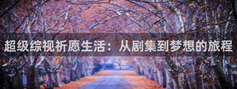 策驰电影