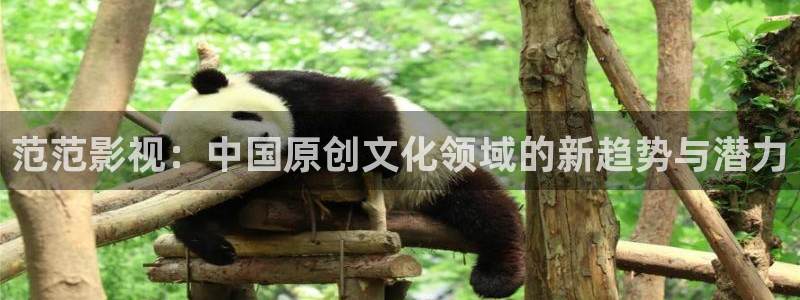 我的前半生2策驰影院