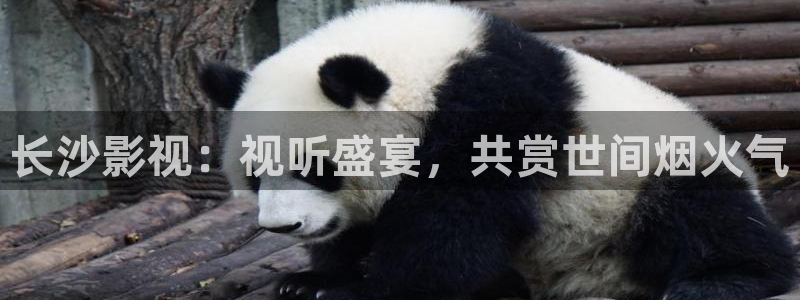 以家人之名免费观看策驰影院