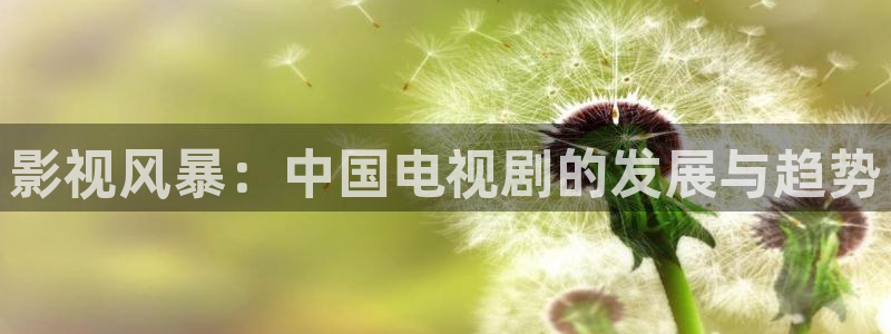风中的火焰策驰影院免费观看