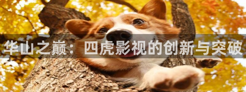 寻梦环游记策驰影院