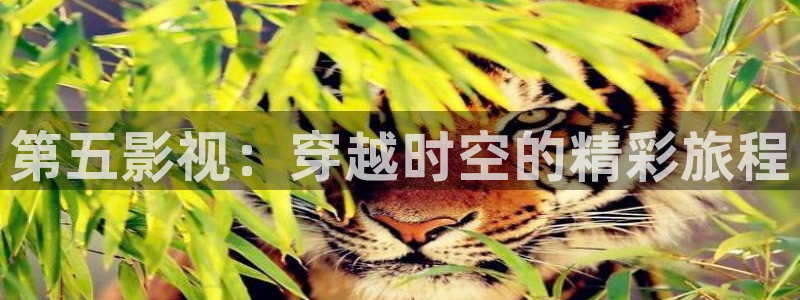 无尽的尽头策驰影院